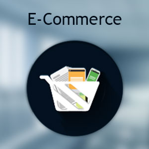 E-Commerce Website Designing Company Mumbai